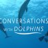 Komunikace s delfíny