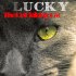 Lucky: The Evil Talking Cat