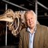 Attenborough's Life Stories: Our Fragile Planet