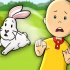 Caillou and the Bunny