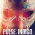 Pulse of the Indigo