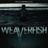 Weaverfish