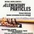 Elementární částice