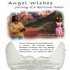 Angel Wishes: Journey of a Spritual Healer