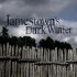 Jamestown's Dark Winter