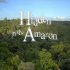 Hidden in the Amazon