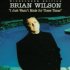Brian Wilson: Prostě jsem nebyl zrozen v té správné době