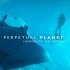Věčná planeta: Hrdinové oceánů