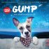 Gump - Pes, který naučil lidi ľít