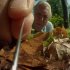 Attenborough's Life Stories: Life on Camera