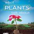 What Plants Talk About