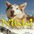Nikki, severský pes