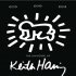 Svět Keithe Haringa