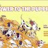 Power to the Puppies/Who The Dog Do You Think You Are?