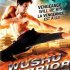 Wushu Warrior