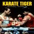 Karate tiger 1: Neustupuj, nevzdávej se