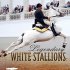 Legendary White Stallions