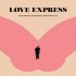 Love Express: Zmizení Waleriana Borowczyka