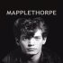 Mapplethorpe: fotograf, který ąokoval svět