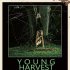 Young Harvest