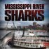 Mississippi River Sharks