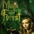 Magic in the Forest