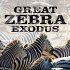 Great Zebra Exodus