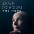 Jane Goodallová: Naděje