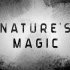 Nature's Magic