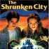 The Shrunken City
