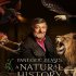 Fantastická zvířata: Přírodní historie