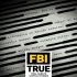 FBI - Agenti řeąí případy
